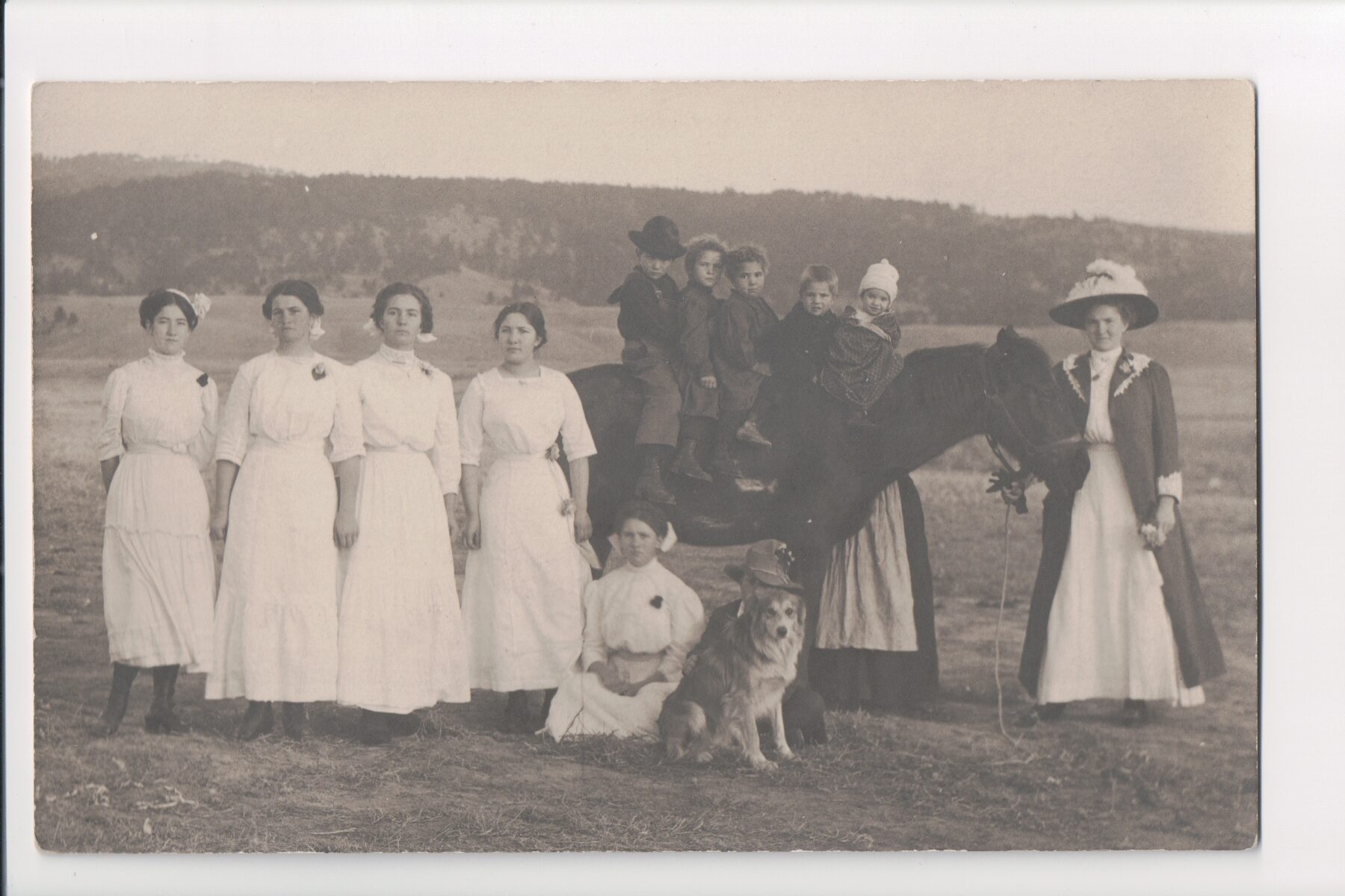 Mahnke family on horses outdoors